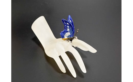 立体刺繍の蝶（ヘレナモルフォ蝶）