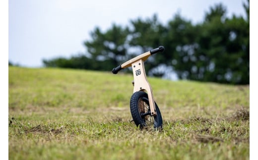 HideЯ Bike（ハイダーバイク・和柄紋様なし）HB-001-P(L104)