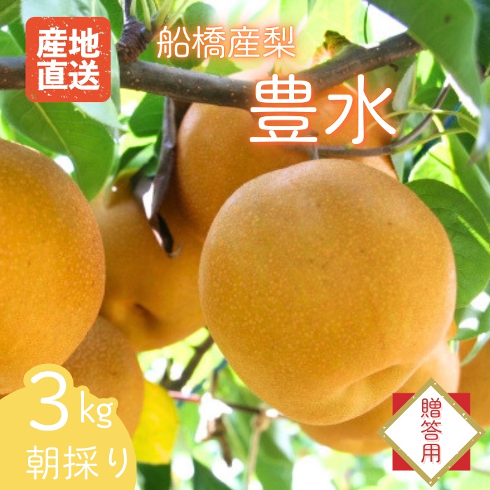 【贈答用】果汁たっぷりの極上梨「豊水・3kg」（2026年産）　果汁たっぷり　船橋産　8月中下旬発送　期間限定　梨　夏　6～9玉　なし　水菓子　果物　デザート