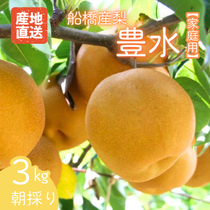 【2026年産先行予約】＜家庭用＞果汁たっぷりの極上梨「豊水・3kg」6～9玉 千葉県 船橋市産