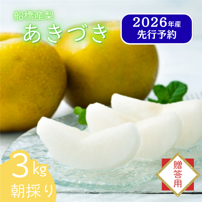 2026年発送分【贈答用】極上梨「あきづき」3kg　果汁たっぷり　船橋産　9月中下旬発送　期間限定　梨　夏　6～9玉　なし　水菓子　果物　デザート