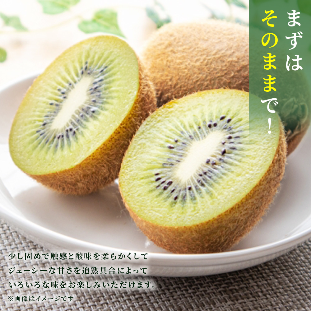 【有機栽培】キウイフルーツ・5kg（大/小玉混合）・やまちょう園（1/16～2/15 発送分） 国産 キウイ キウイフルーツ ビタミンC 果物 フルーツ ※お届け日指定不可 (E18)
