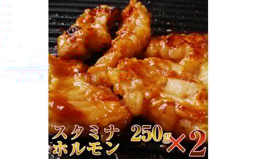 黒毛和牛　やまと特製みそだれ　スタミナホルモン500ｇ（250ｇ×2Ｐ）　松阪牛　焼き肉　A5ランク　雌牛　焼肉やまと　やまとダイニング