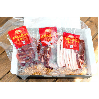 ジビエ猪肉部位3種セット【配送不可地域：離島】