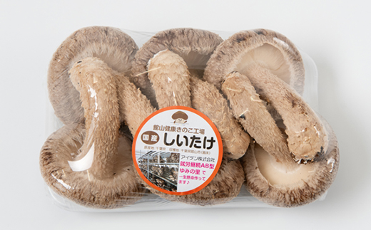 【農福連携】千葉県館山産 生しいたけ110g×5パック 就労継続支援A/B型併用事業所「ゆみの里」【配送不可地域：離島・沖縄県】