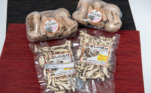 【農福連携】千葉県館山産しいたけセット(生しいたけ110g×2パック・乾燥しいたけ30g×2パック)【配送不可地域：離島・沖縄県】