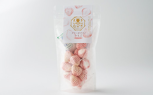 きざえむファームの南房総館山フリーズドライ いちご(あわゆき) 1パック