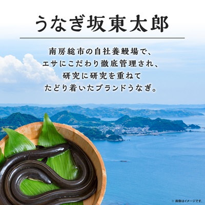 天然 に近づけた究極の養殖 鰻「坂東太郎 使用」 うなぎ 蒲焼 小サイズ 80g前後×5串【配送不可地域：離島】