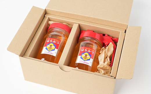 ひふみ養蜂園 はちみつ詰替えセット 計600g(300g×2)