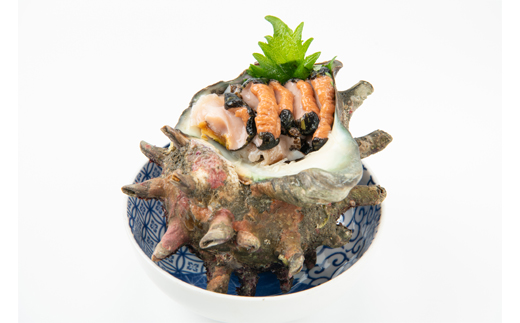 【先行予約】【金曜日発送】漁師直送!天然大ぶり活サザエ　2kg(4～6個)【配送不可地域：離島・北海道・沖縄県・東北・中国・四国・九州】