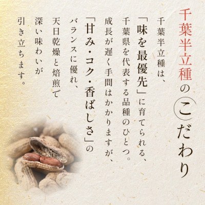 千葉半立種　落花生(350g×1袋)
