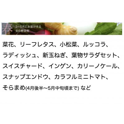 【毎月定期便】【中旬発送】こだわりの旬野菜BOX「リエビン」季節の野菜セット全6回【配送不可地域：離島・沖縄県】