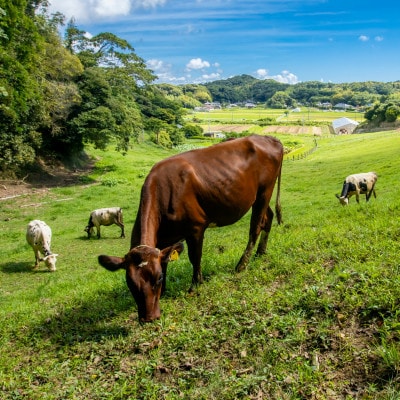 【新嘗祭奉納】須藤牧場の低温殺菌ノンホモ牛乳 900ml×2本【配送不可地域：離島】