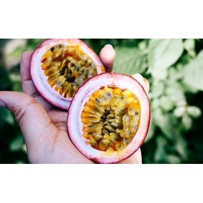 完熟パッションフルーツで作ったリリコイバター5個セット