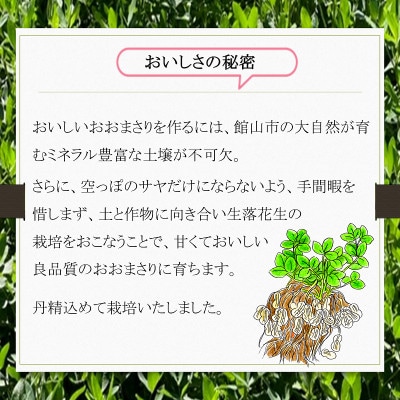 【 数量限定 】【 期間限定 】農家イチオシ!千葉県館山産 生落花生おおまさり 2kg【配送不可地域：離島・沖縄県】
