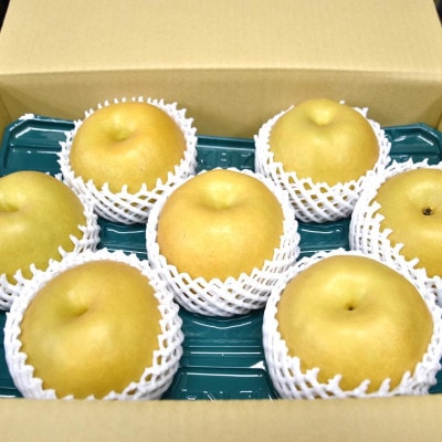 【数量限定】館山齊藤果樹園の完熟梨「新高(にいたか)」6～9個