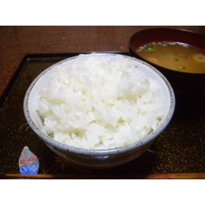 令和7年産千葉県産長狭米コシヒカリ精米10kg