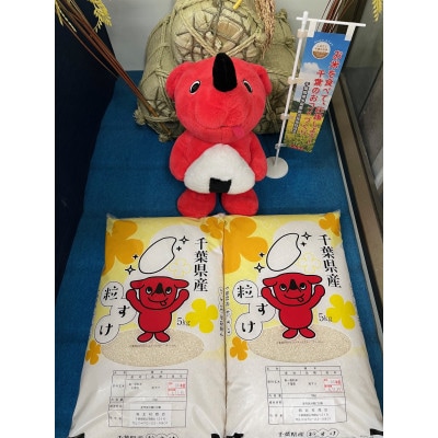 令和7年産千葉県産粒すけ精米10kg(5kg×2袋)