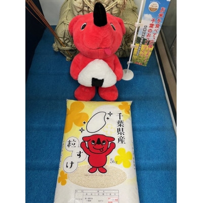 令和7年産千葉県産粒すけ精米5kg