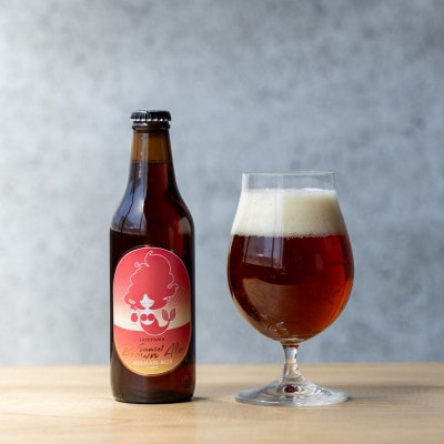 館山サンセットブラウンエール　12本セット【配送不可地域：離島】