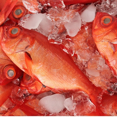 地金目鯛炊き込みご飯のもと　2パック【配送不可地域：離島】