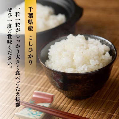 千葉県産こしひかり(精米)10kg(5kg×2袋)