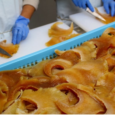 【発送月固定定期便】フカヒレ姿煮　大尾びれ2枚入(330g×2枚)尾びれ全4回【配送不可地域：離島】