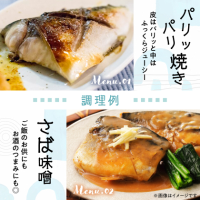 【訳あり】塩さば 20切れ 約2.2kg(個包装)【配送不可地域：離島】