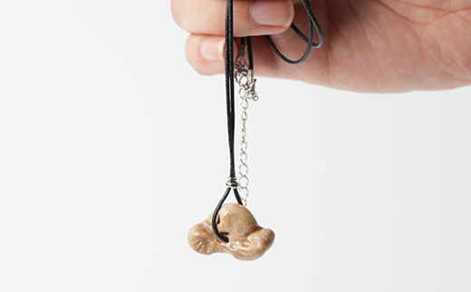 【思いやり型返礼品】イルカの耳骨ネックレス《限定10個》