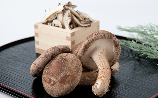 【農福連携】千葉県館山産しいたけセット(生しいたけ110g×2パック・乾燥しいたけ30g×2パック)【配送不可地域：離島・沖縄県】