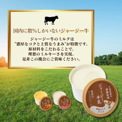 須藤牧場 館山市コラボカップアイス 6個セット(ミルク・いちご・マンゴー　各2個)【配送不可地域：離島】