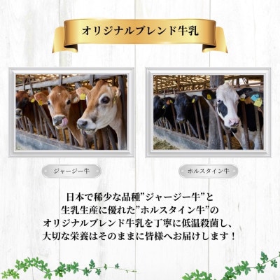 【新嘗祭奉納】須藤牧場の低温殺菌ノンホモ牛乳 900ml×2本【配送不可地域：離島】