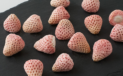 きざえむファームの南房総館山フリーズドライフルーツ 3種類