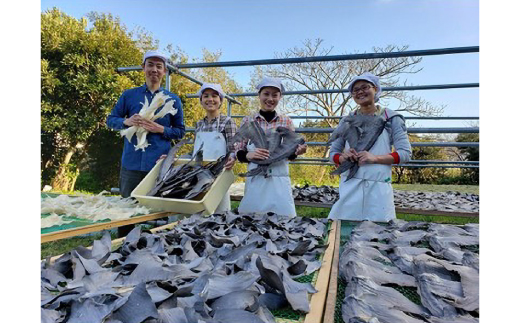 【エコ包装】「フカヒレ姿煮」大尾びれ1枚入り(530g×1枚)　尾びれ重さ約201-240g【配送不可地域：離島】