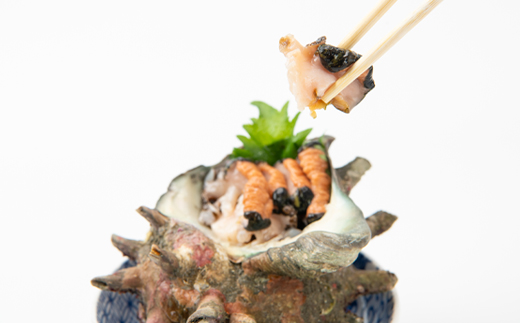 【先行予約】【金曜日発送】漁師直送!天然大ぶり活サザエ　2kg(4～6個)【配送不可地域：離島・北海道・沖縄県・東北・中国・四国・九州】