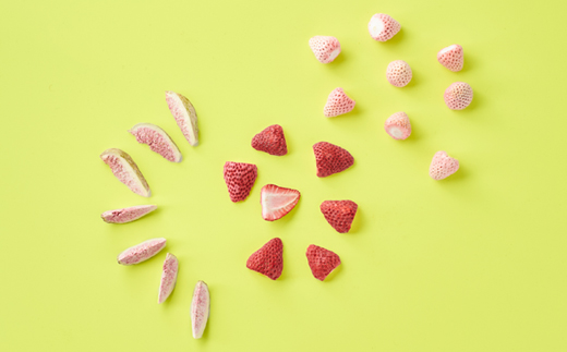 南房総館山フリーズドライフルーツ3種類 瓶詰め