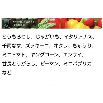 【毎月定期便】【中旬発送】こだわりの旬野菜BOX「リエビン」季節の野菜セット全12回【配送不可地域：離島・沖縄県】