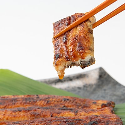 天然 に近づけた究極の養殖 鰻「坂東太郎 使用」 うなぎ 蒲焼 大サイズ 130g前後×3尾【配送不可地域：離島】