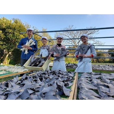 【エコ包装】フカヒレステーキ尾びれ2枚入(220g×2枚)　尾びれ11-12cm【配送不可地域：離島】