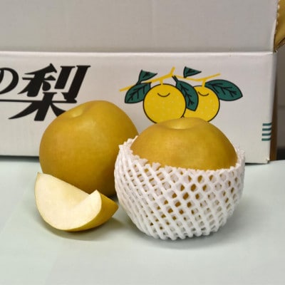 【数量限定】館山齊藤果樹園の完熟梨「新高(にいたか)」6～9個