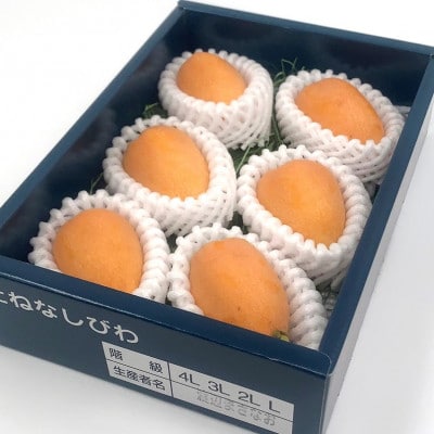 【先行予約】4月下旬頃より順次発送　種無し房州びわ「希房」 2Lサイズ6粒　化粧箱入り【配送不可地域：離島・沖縄県】