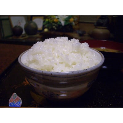 令和7年産千葉県産粒すけ精米5kg