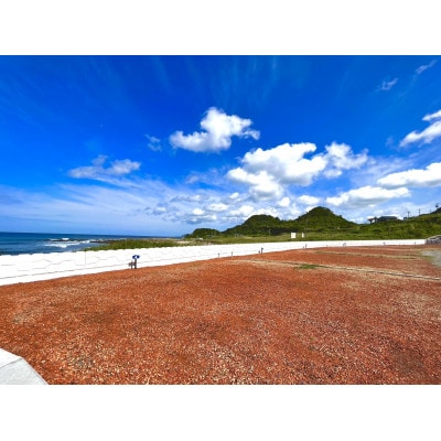 キャンプマナビス宿泊ギフト券15,000円