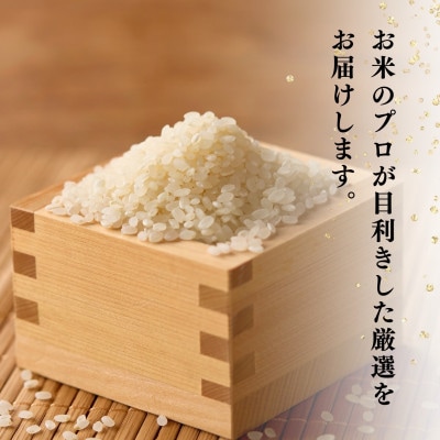 千葉県産こしひかり(精米)10kg(5kg×2袋)