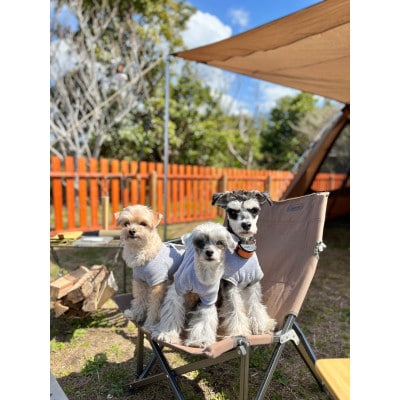 館山サザンビレッジキャンプ場　宿泊利用券5,000円分　海の近くでキャンプを楽しもう♪