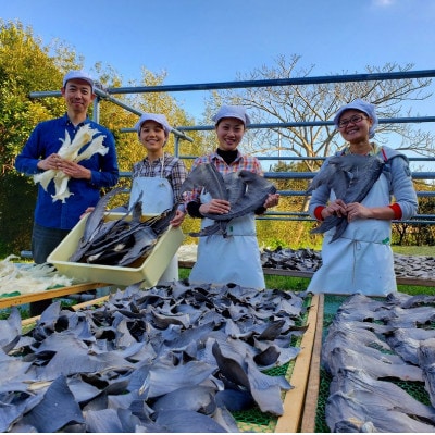 【発送月固定定期便】フカヒレ姿煮　大尾びれ2枚入(330g×2枚)尾びれ全4回【配送不可地域：離島】