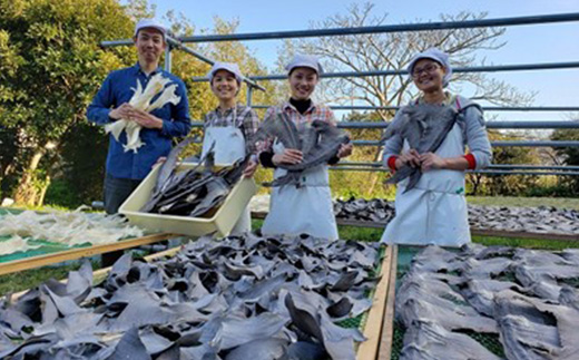 フカヒレステーキ尾びれ2枚入(220g×2枚)　尾びれ11-12cm【配送不可地域：離島】