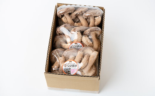 【農福連携】千葉県館山産 生しいたけ110g×5パック 就労継続支援A/B型併用事業所「ゆみの里」【配送不可地域：離島・沖縄県】