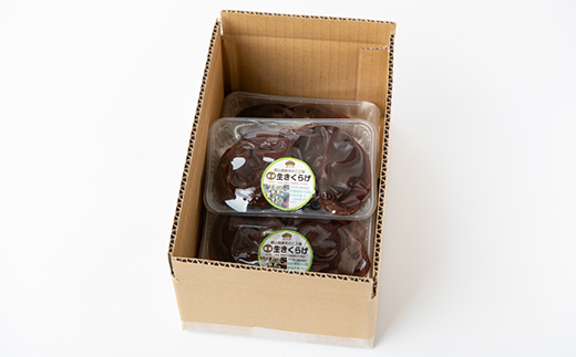 【農福連携】千葉県館山産 生きくらげ100g×4パック 就労継続支援A/B型併用事業所「ゆみの里」【配送不可地域：離島】