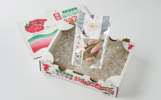 きざえむファームの南房総館山フリーズドライ いちじく 1パック